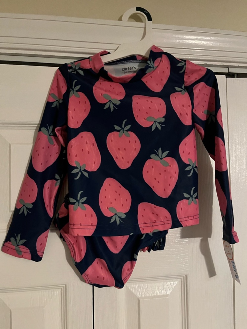 Carter's Navy and Pink Strawberry Swim Rash Guard Set